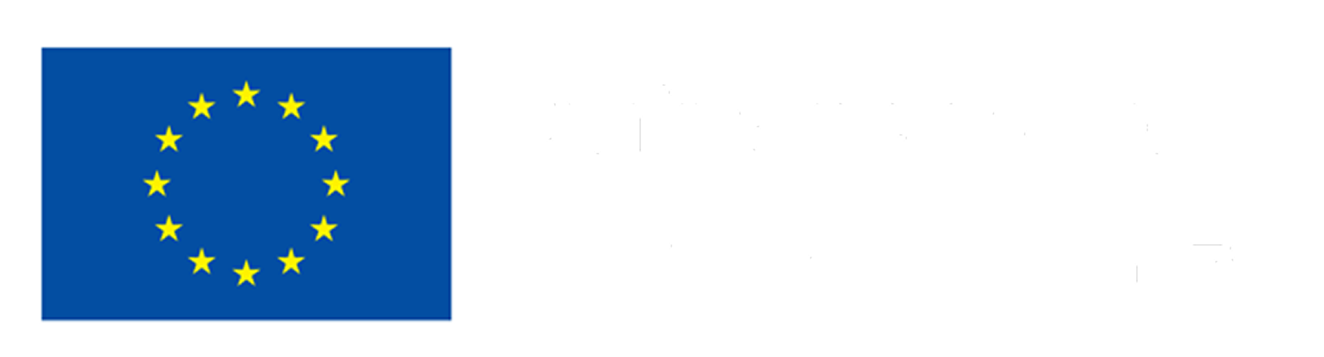 Cofinanciado por la Unión Europea