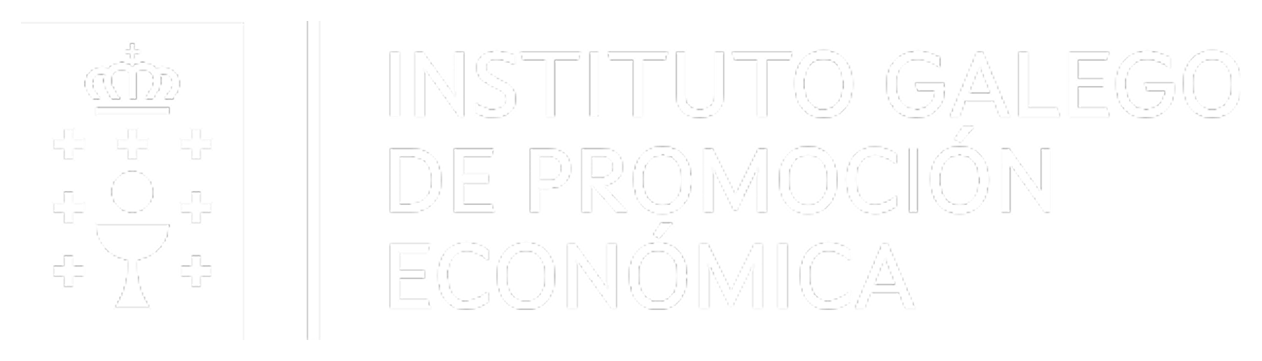 Instituto Galego de Promoción Económica (IGAPE)