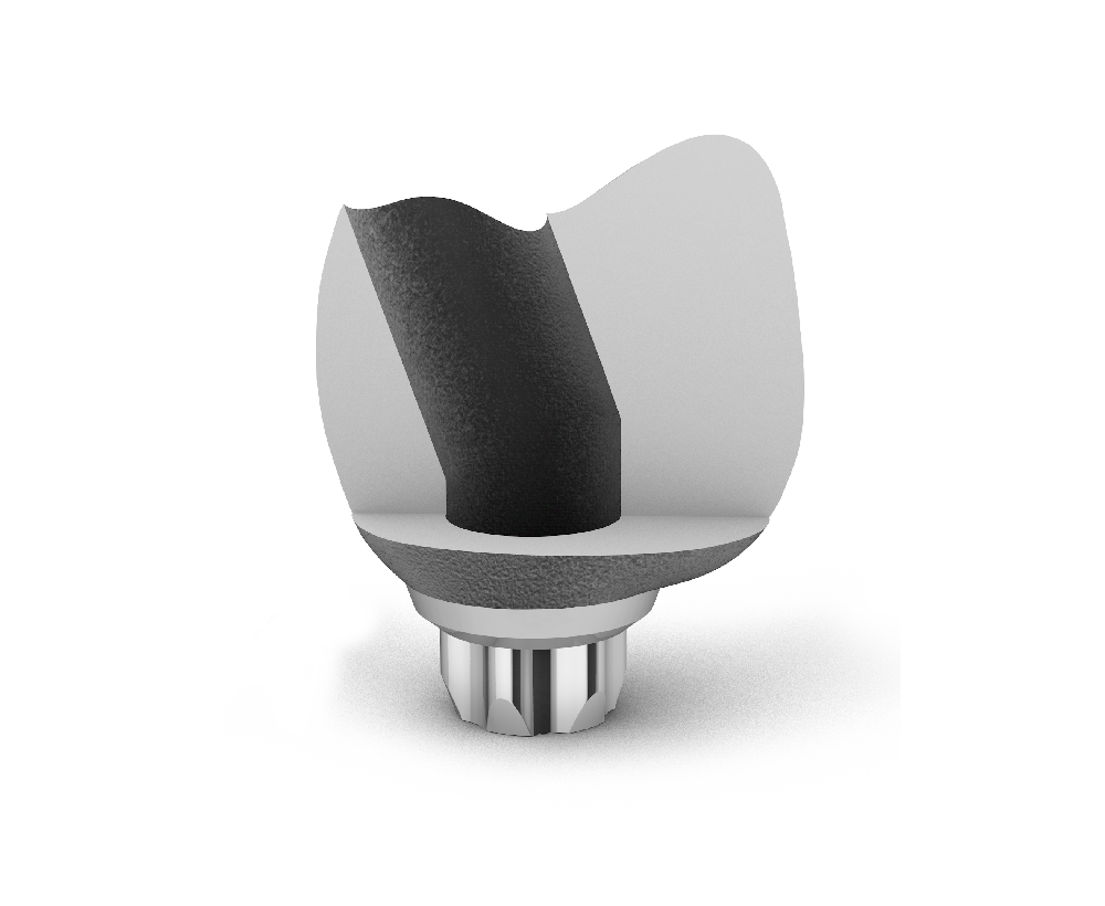 cromo-cobalto-adhoc-atornillada-axis